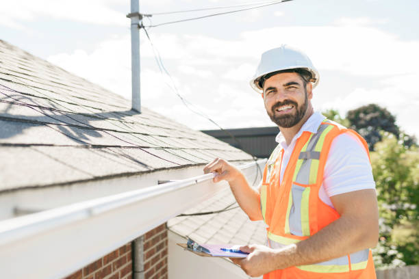 Best Roof Gutter Cleaning  in Bemidji, MN
