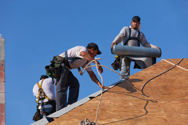 Quick and Trustworthy Emergency Roof Repair Services in Bemidji, MN