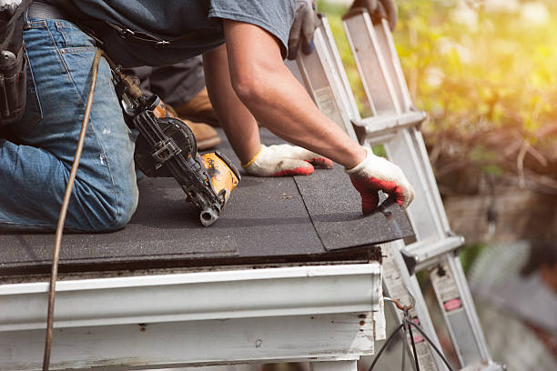 Best Flat Roof Repair Services  in Bemidji, MN